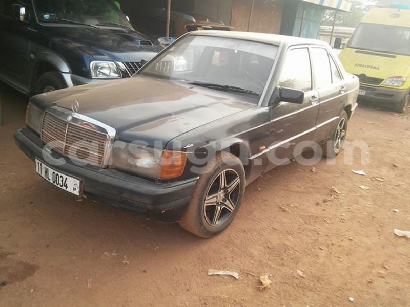 Big with watermark 17952911 1334233303350555 2497601986425798375 n