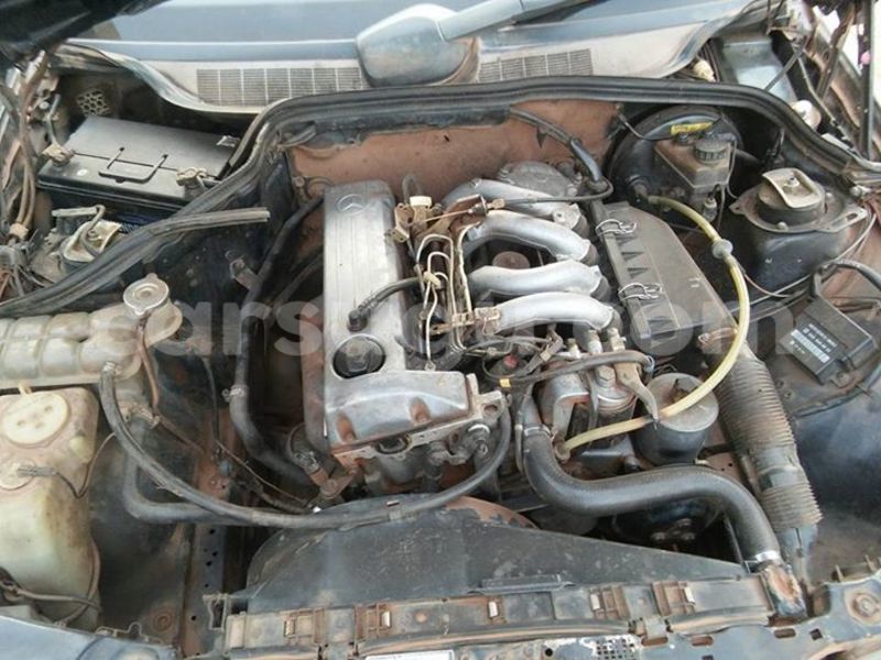 Big with watermark 17862013 1334233313350554 6504399196789956294 n