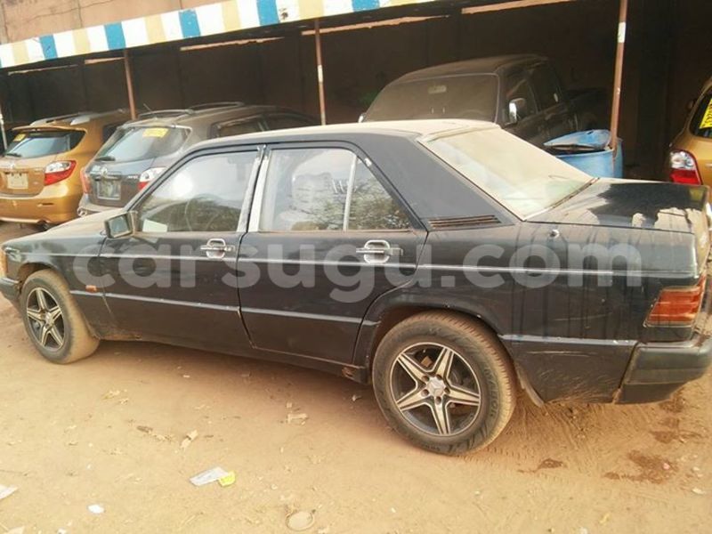 Big with watermark 17904347 1334233333350552 1208526608587513807 n