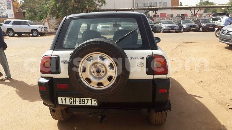 Big with watermark 333