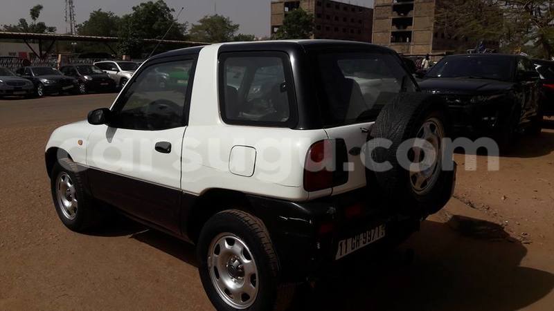 Big with watermark 33