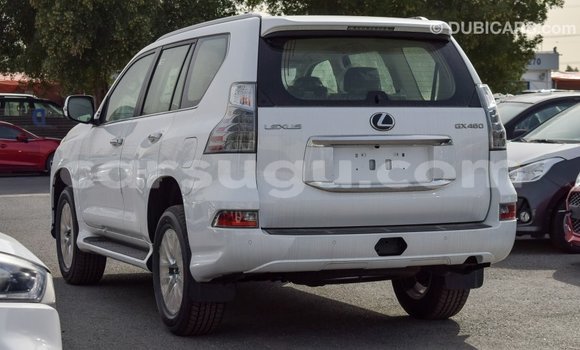 Sayi Imported Lexus GX 460 White Mota in Import - Dubai a Burkina Faso Sayi Imported Lexus GX 460 White Mota in Import - Dubai a Burkina Faso