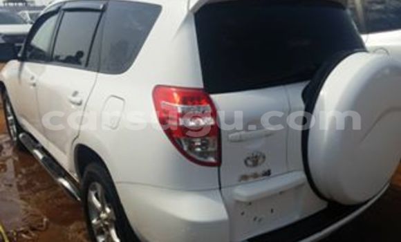 Buy New Toyota RAV4 White Car in Ouagadougou in Burkina Faso Buy New Toyota RAV4 White Car in Ouagadougou in Burkina Faso