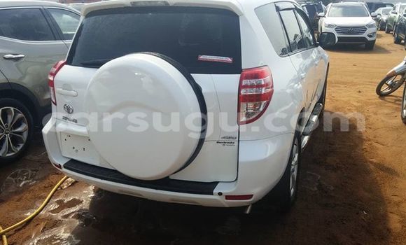Buy New Toyota RAV4 White Car in Ouagadougou in Burkina Faso Buy New Toyota RAV4 White Car in Ouagadougou in Burkina Faso