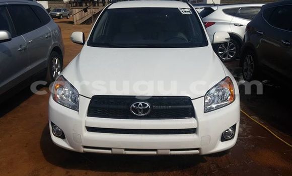 Buy New Toyota RAV4 White Car in Ouagadougou in Burkina Faso Buy New Toyota RAV4 White Car in Ouagadougou in Burkina Faso