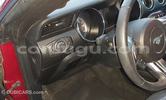 Acheter Import Voiture Ford Mustang Rouge à Import - Dubai, Burkina-Faso Acheter Import Voiture Ford Mustang Rouge à Import - Dubai, Burkina-Faso