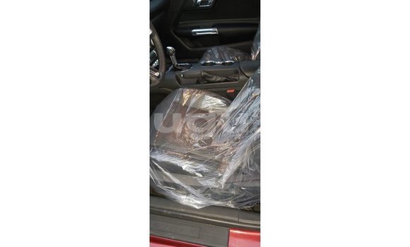 Acheter Import Voiture Ford Mustang Rouge à Import - Dubai, Burkina-Faso Acheter Import Voiture Ford Mustang Rouge à Import - Dubai, Burkina-Faso