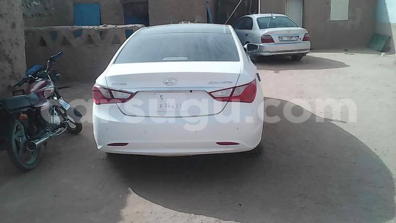 Big with watermark 8888