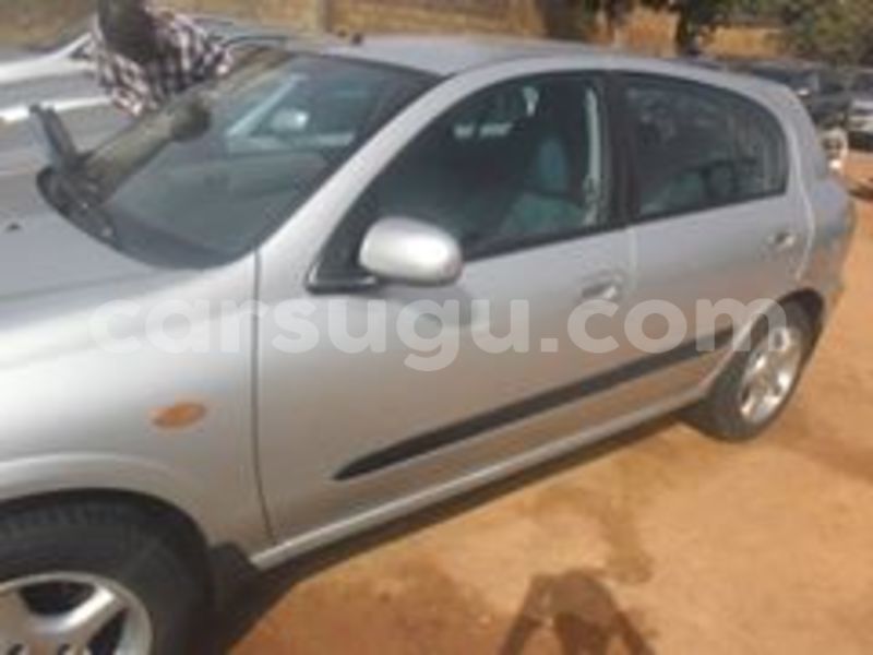 Big with watermark 100