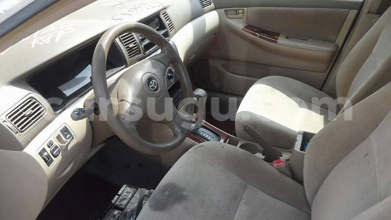 Big with watermark 333