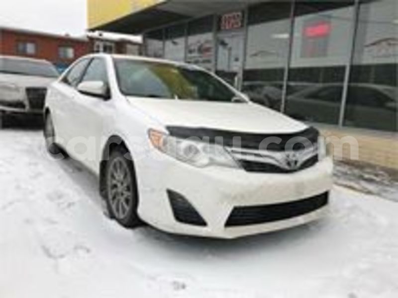 Big with watermark 4444