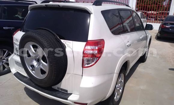 Buy Used Toyota RAV4 White Car in Ouagadougou in Burkina Faso Buy Used Toyota RAV4 White Car in Ouagadougou in Burkina Faso