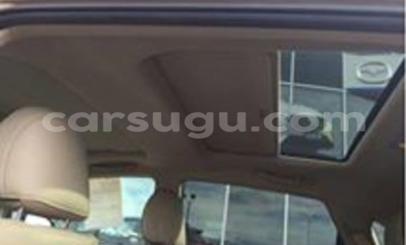 Buy New Toyota Venza Brown Car in Ouagadougou in Burkina Faso Buy New Toyota Venza Brown Car in Ouagadougou in Burkina Faso