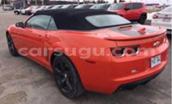 Buy New Chevrolet Camaro Other Car in Ouagadougou in Burkina Faso Buy New Chevrolet Camaro Other Car in Ouagadougou in Burkina Faso