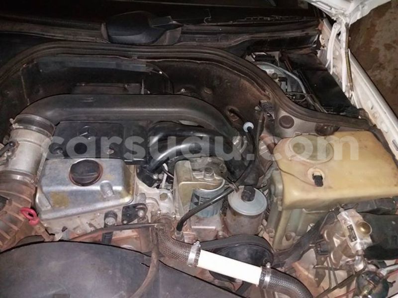 Big with watermark 17795701 10206966928850318 4670280897170890025 n