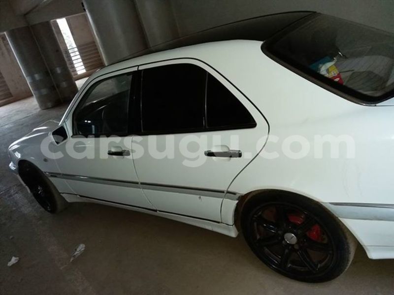 Big with watermark 17796439 1315154081906354 3590367499681648485 n