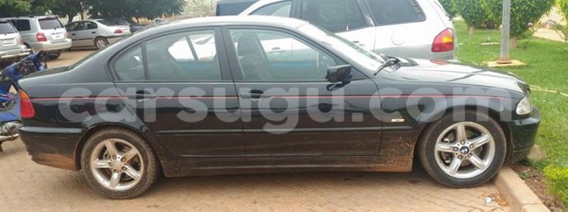 Big with watermark 17523240 446906552317802 3020784409794938775 n