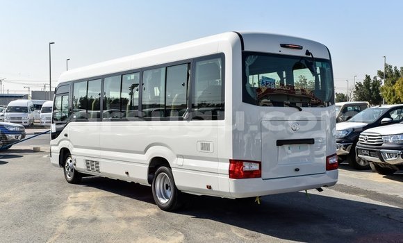 Acheter Import Voiture Toyota Coaster Blanc à Import - Dubai, Burkina-Faso Acheter Import Voiture Toyota Coaster Blanc à Import - Dubai, Burkina-Faso