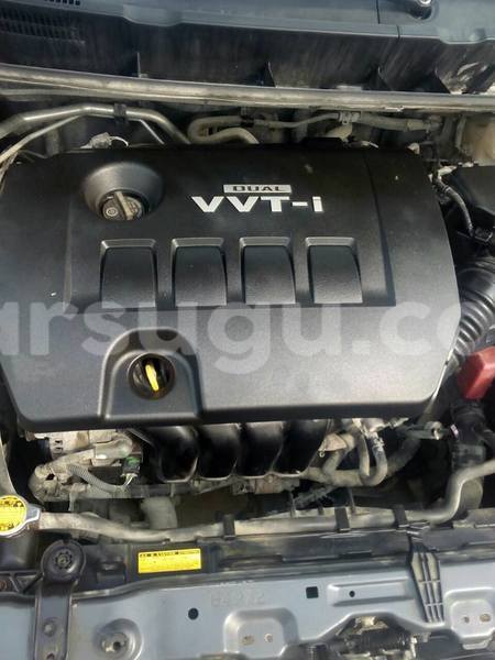 Big with watermark 50