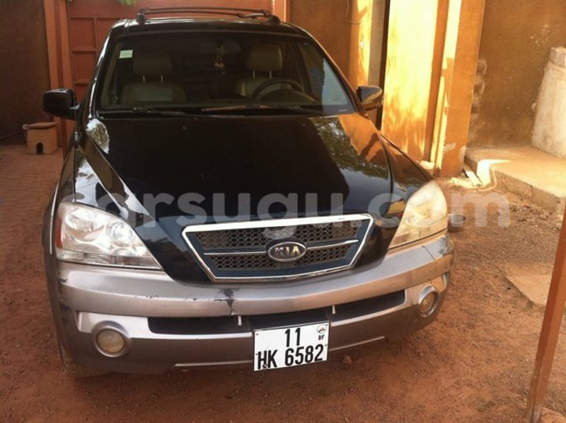 Big with watermark 66