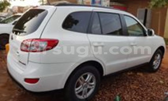 Acheter Neuf Voiture Hyundai Santa Fe Blanc à Ouagadougou, Burkina-Faso Acheter Neuf Voiture Hyundai Santa Fe Blanc à Ouagadougou, Burkina-Faso