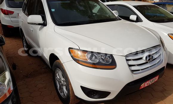 Acheter Neuf Voiture Hyundai Santa Fe Blanc à Ouagadougou, Burkina-Faso Acheter Neuf Voiture Hyundai Santa Fe Blanc à Ouagadougou, Burkina-Faso