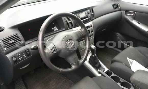 Acheter Neuf Voiture Toyota Corolla Bleu à Ouagadougou, Burkina-Faso Acheter Neuf Voiture Toyota Corolla Bleu à Ouagadougou, Burkina-Faso