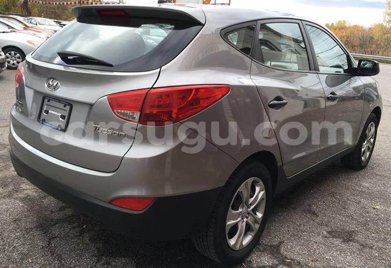 Big with watermark 2