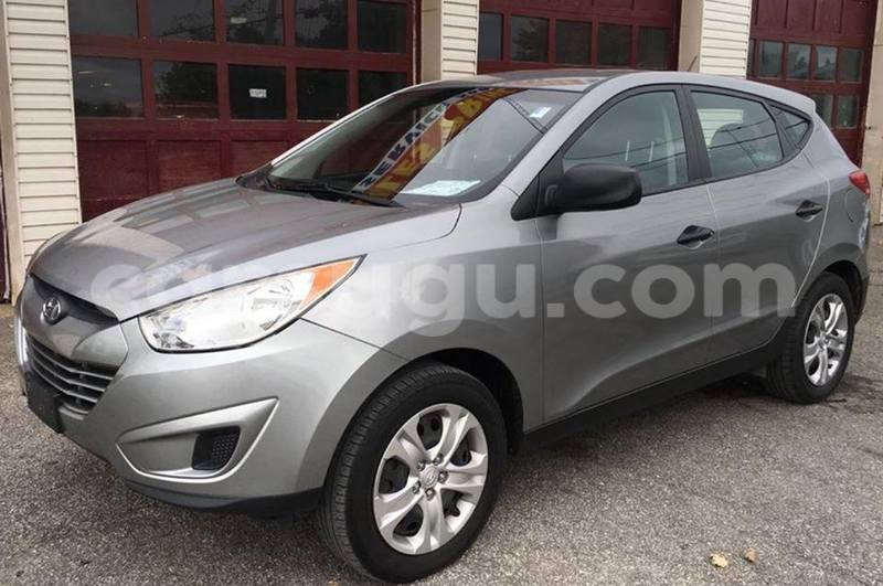 Big with watermark 222