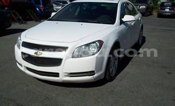 Sayi Sabo Chevrolet Malibu White Mota in Bobo Dioulasso a Burkina Faso