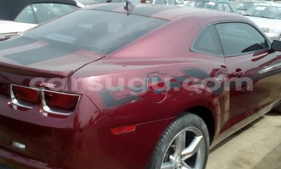 Acheter Neuf Voiture Chevrolet Camaro Rouge à Bobo Dioulasso, Burkina-Faso Acheter Neuf Voiture Chevrolet Camaro Rouge à Bobo Dioulasso, Burkina-Faso