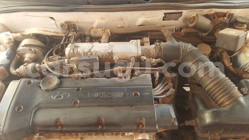 Big with watermark 1111111111111