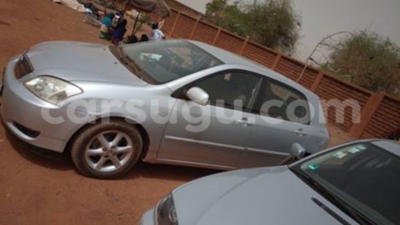 Big with watermark 2