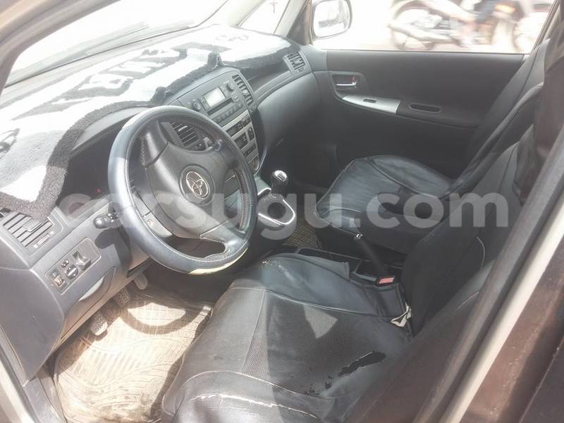 Big with watermark 33