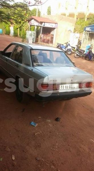 Big with watermark 4