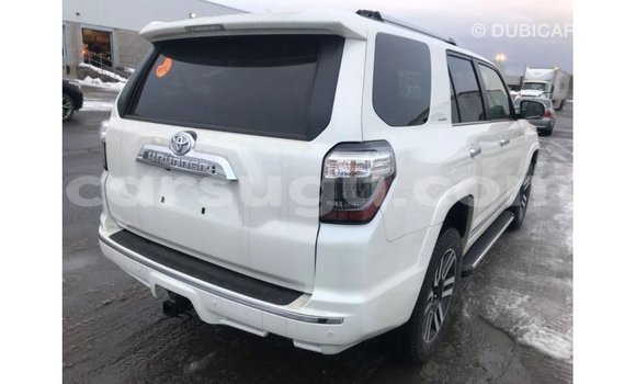 Buy Import Toyota HiAce White Truck in Import - Dubai in Burkina Faso Buy Import Toyota HiAce White Truck in Import - Dubai in Burkina Faso