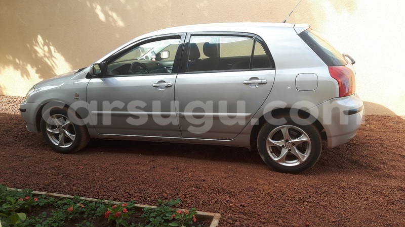 Big with watermark image