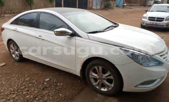Acheter Neuf Voiture Hyundai Sonata Blanc à Ouagadougou, Burkina-Faso Acheter Neuf Voiture Hyundai Sonata Blanc à Ouagadougou, Burkina-Faso