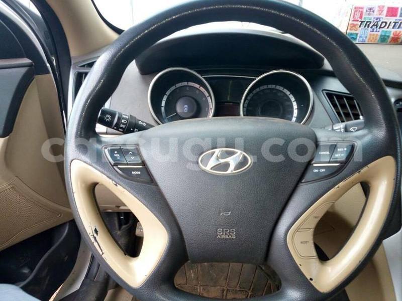 Big with watermark 111