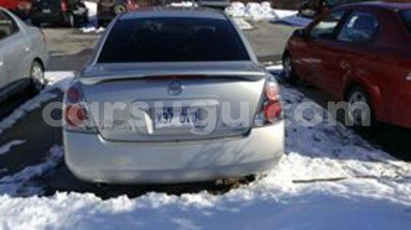 Big with watermark 44