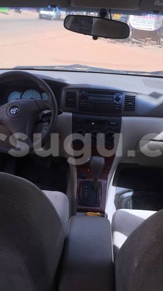 Big with watermark 66