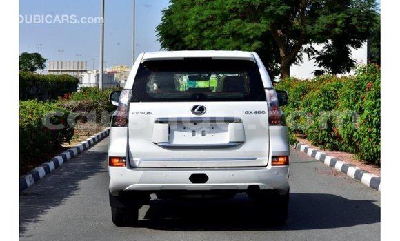 Buy Import Lexus GX 460 White Car in Import - Dubai in Burkina Faso Buy Import Lexus GX 460 White Car in Import - Dubai in Burkina Faso