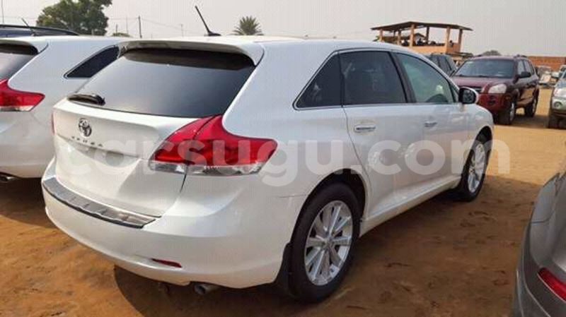 Big with watermark 77