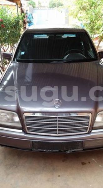 Big with watermark aa