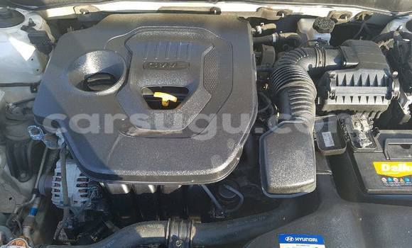 Acheter Neuf Voiture Hyundai Sonata Blanc à Ouagadougou, Burkina-Faso Acheter Neuf Voiture Hyundai Sonata Blanc à Ouagadougou, Burkina-Faso