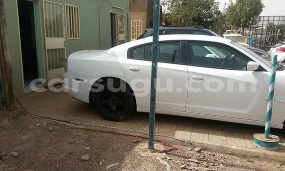 Acheter Neuf Voiture Dodge Charger Blanc à Ouagadougou, Burkina-Faso Acheter Neuf Voiture Dodge Charger Blanc à Ouagadougou, Burkina-Faso