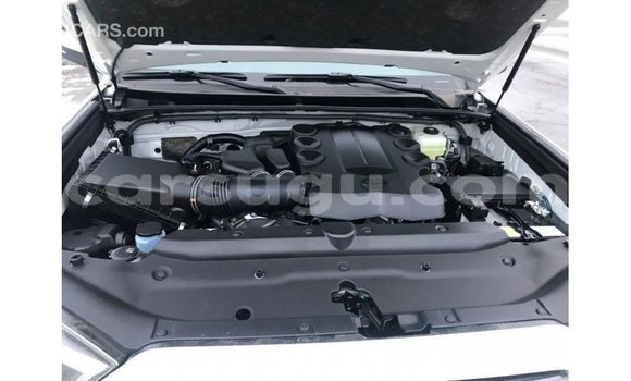 Buy Import Toyota HiAce White Truck in Import - Dubai in Burkina Faso Buy Import Toyota HiAce White Truck in Import - Dubai in Burkina Faso