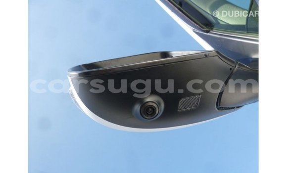 Sayi Imported Toyota Land Cruiser White Mota in Import - Dubai a Burkina Faso Sayi Imported Toyota Land Cruiser White Mota in Import - Dubai a Burkina Faso