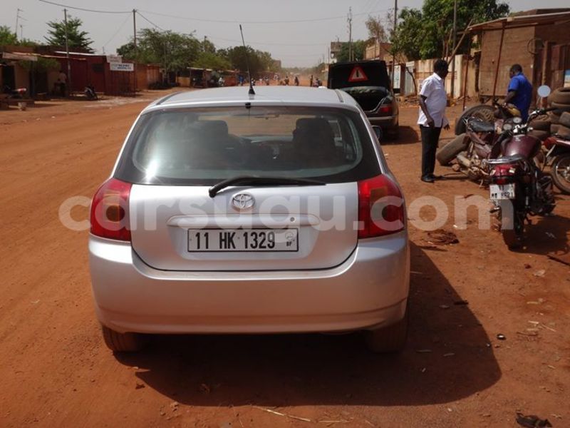 Big with watermark 2222