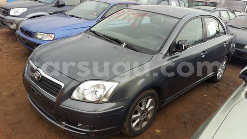 Big with watermark 2222